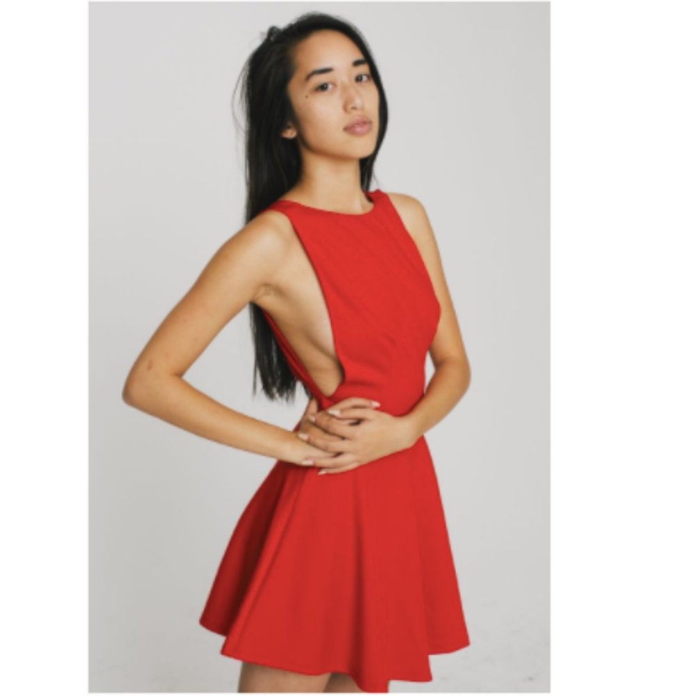American Apparel Ponte Sleeveless Skater Dress